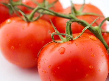 Fresh red tomatos clipart