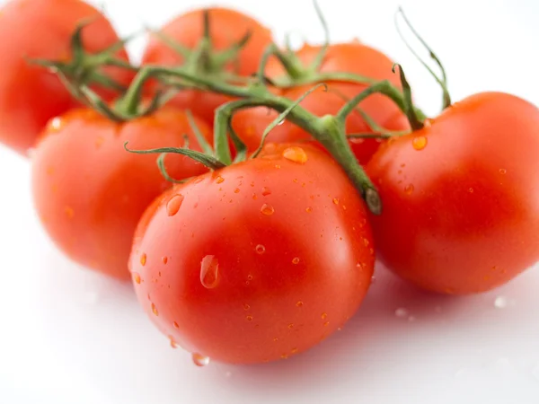 Fresh tomatos — Stock Photo, Image
