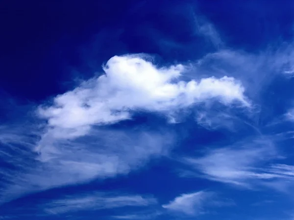 stock image Cloud