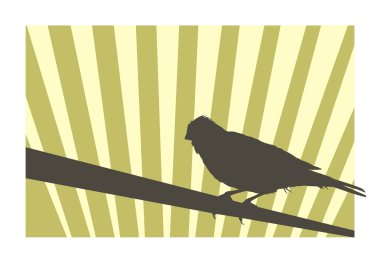 Canary bird clipart