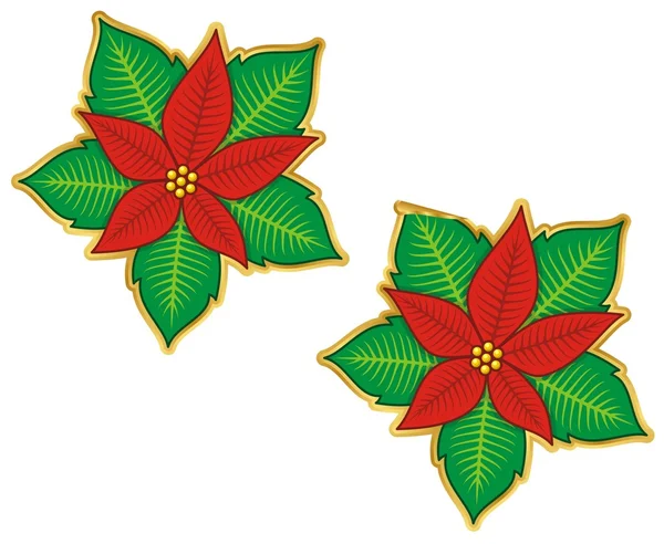 Christmas poinsettia sticker — Stock Vector