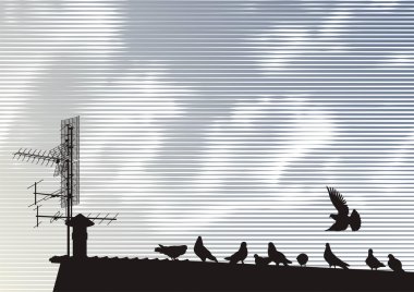 Pigeons on the roof clipart