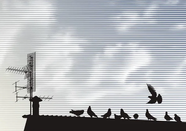 Tauben auf dem Dach — Stockvektor