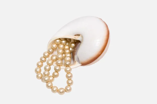 stock image Pearl beads in a cockleshell