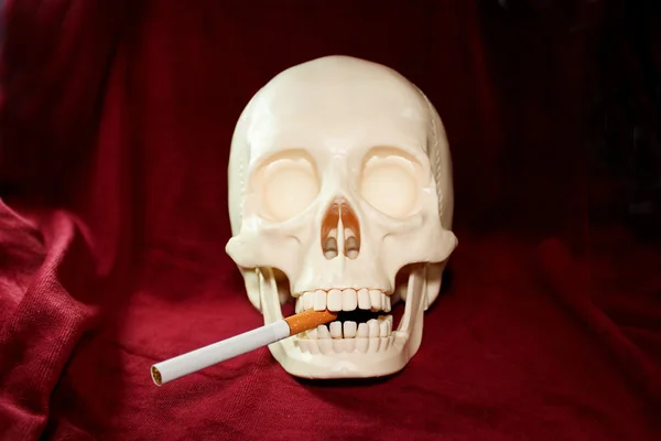 Skull smokes a cigarette — Stock Photo, Image