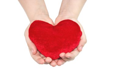 Heart in hands clipart