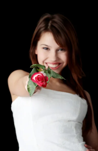 Kvinde med rose - Stock-foto