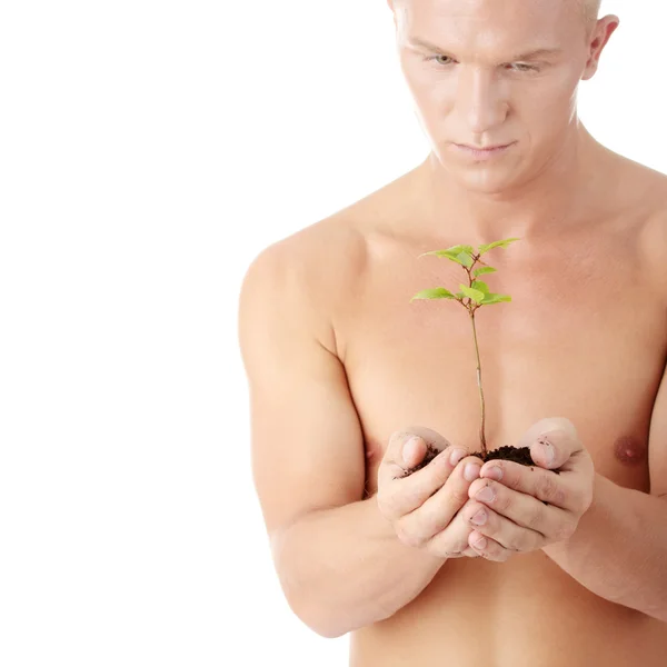 Homem muscular segurando pequena planta — Fotografia de Stock