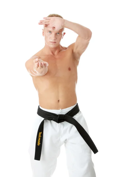 Taekwondo fighter — Stockfoto