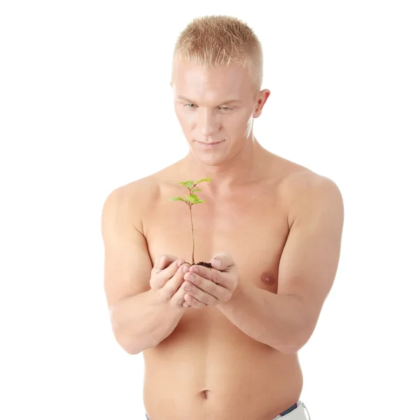 Homem muscular segurando pequena planta — Fotografia de Stock