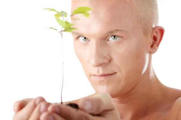 Hombre muscular sosteniendo planta pequeña —  Fotos de Stock