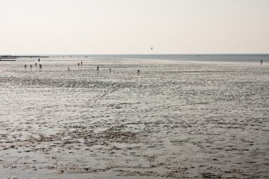 Mudflat at the North Sea clipart