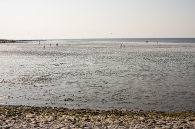 mudflat, Kuzey Denizi