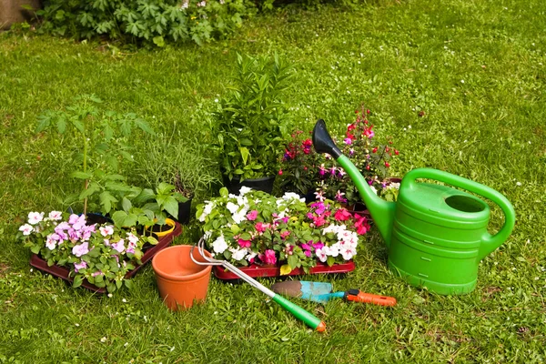 Kertészkedés — Stock Fotó
