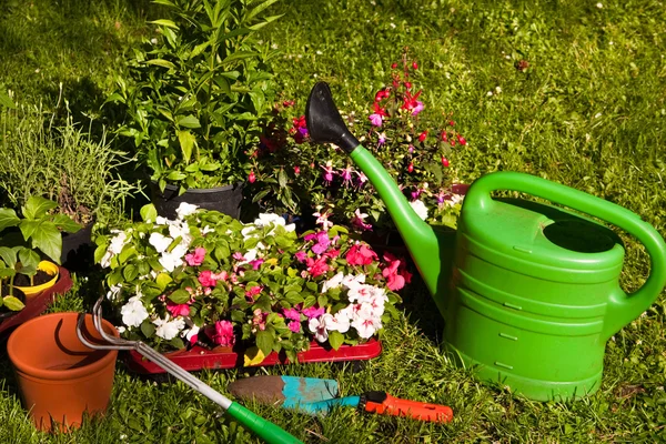 Gartenarbeit — Stockfoto