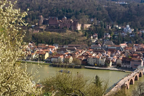 Heidelberg. — Foto de Stock