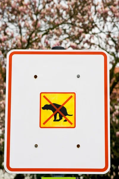 Hond shit verboden — Stockfoto