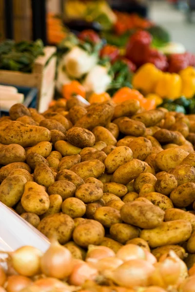 Markette sebzeler — Stok fotoğraf