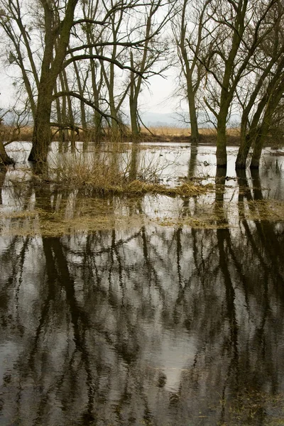 Наводнение — стоковое фото