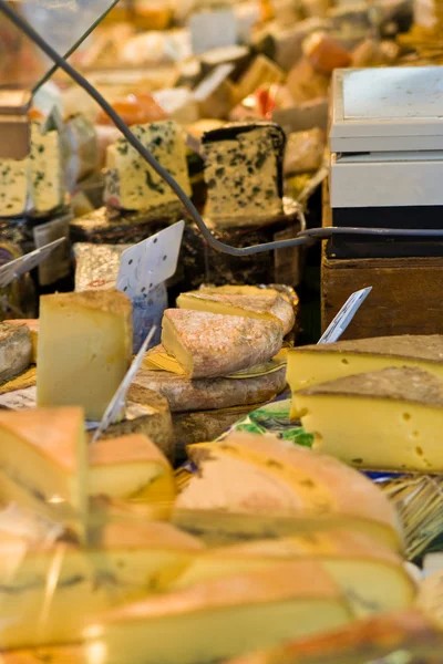 Cheese counter — Stock Photo, Image