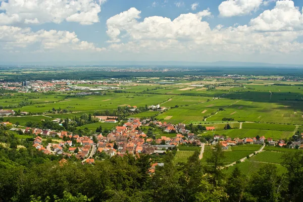 Рейнська Долина — стокове фото