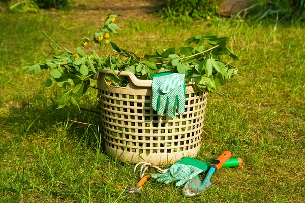 Garden rubbish — Stock Photo, Image