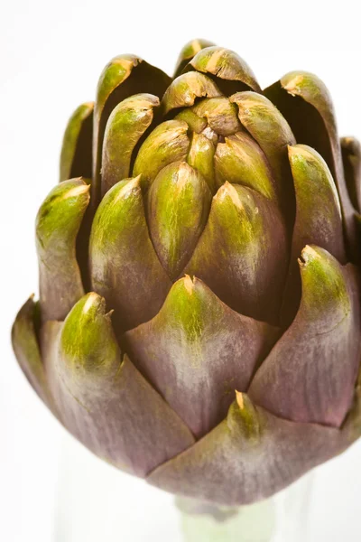 stock image Artichoke