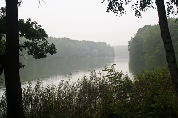 Lake in autumn — Stock Photo, Image