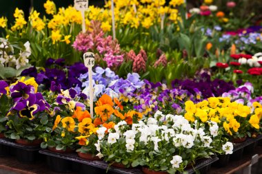 Flowers on a market clipart