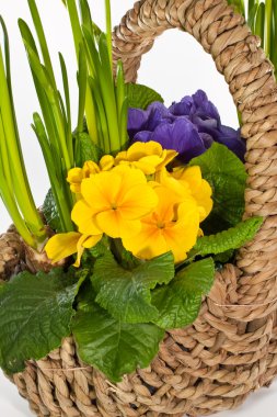 Basket with flowers clipart