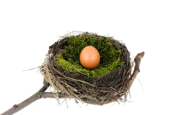 Easter nest — Stock Photo, Image