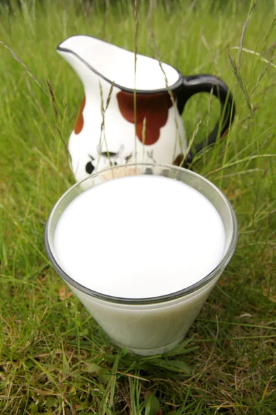 Wellness, landet av mjölk — Stockfoto