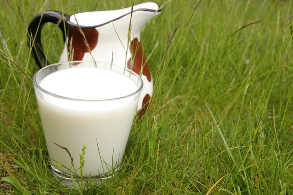 Оздоровлення, земля молока — стокове фото