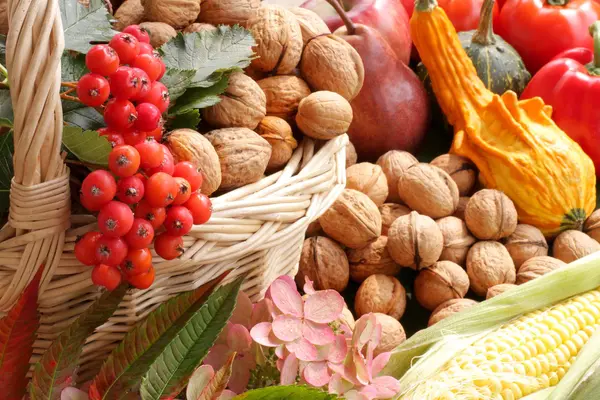 Stock image Autumnal garden