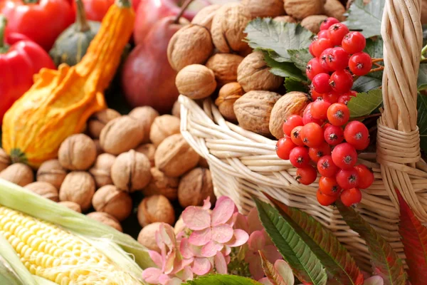 stock image Autumnal garden