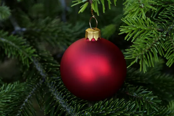 Vánoční strom a červené skleněné koule — Stock fotografie