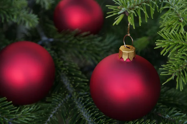 クリスマス ツリーと赤のガラス玉 — ストック写真