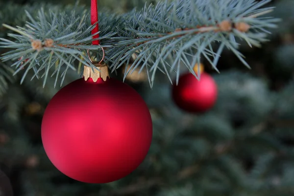 Рождественский и красный стеклянный шар — стоковое фото