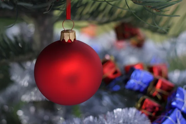 Árbol de Navidad y bola de vidrio rojo —  Fotos de Stock