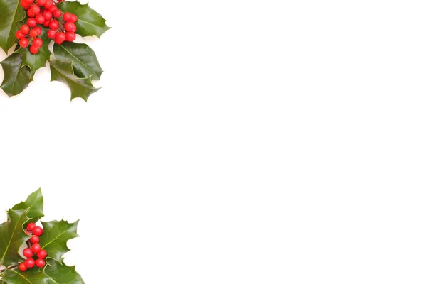 Fundo de Natal com azevinho — Fotografia de Stock