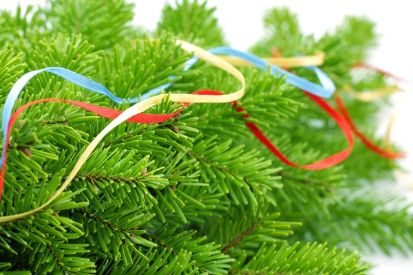 Çam ağacı ile Noel arka plan — Stok fotoğraf