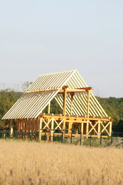 生態学的な木造住宅 — ストック写真