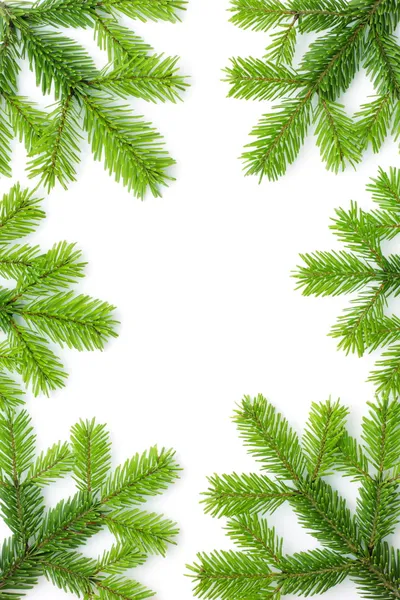Jul bakgrund med spruce trädet — Stockfoto