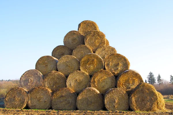 Hay and sky — Stock Photo, Image