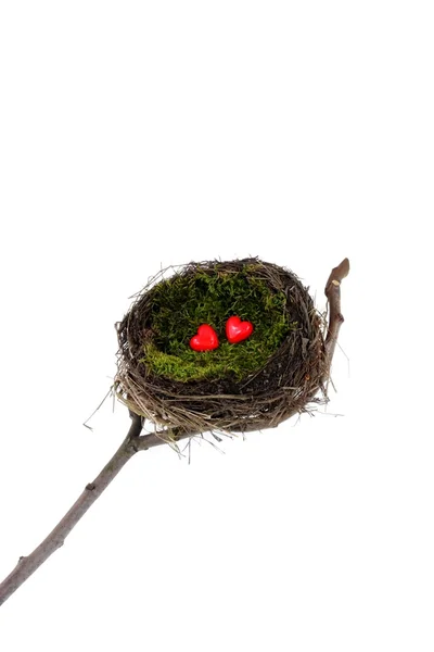 Пасхальное гнездо — стоковое фото