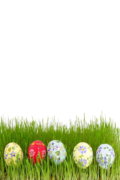 Pascua, huevo y primavera —  Fotos de Stock
