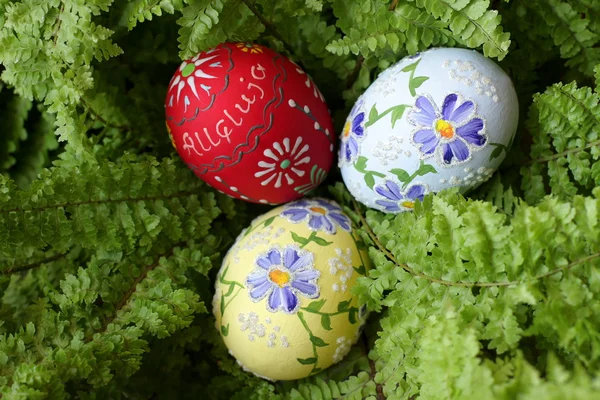 Easter egg op groen — Stockfoto