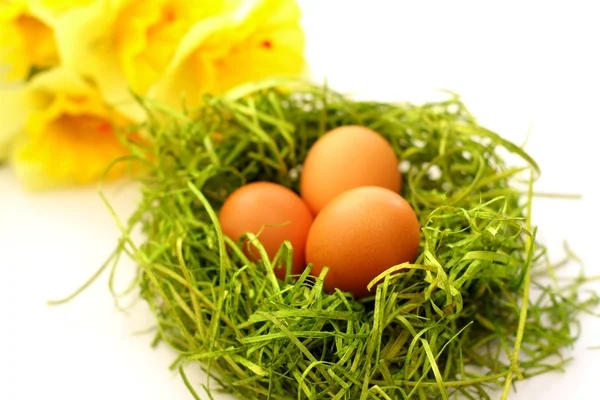 Huevo de ésteres en verde —  Fotos de Stock
