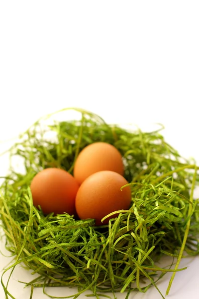 Яйце Естер на зеленому — стокове фото