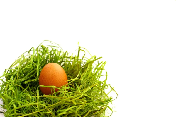 Эстерное яйцо на зеленом — стоковое фото